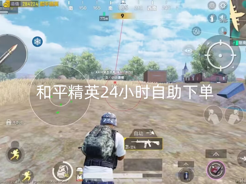 和平精英辅助24小时自助下单-和平直装【