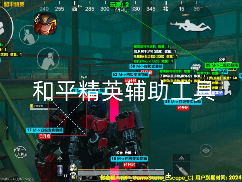 和平精英辅助工具-和平直装【雪人】