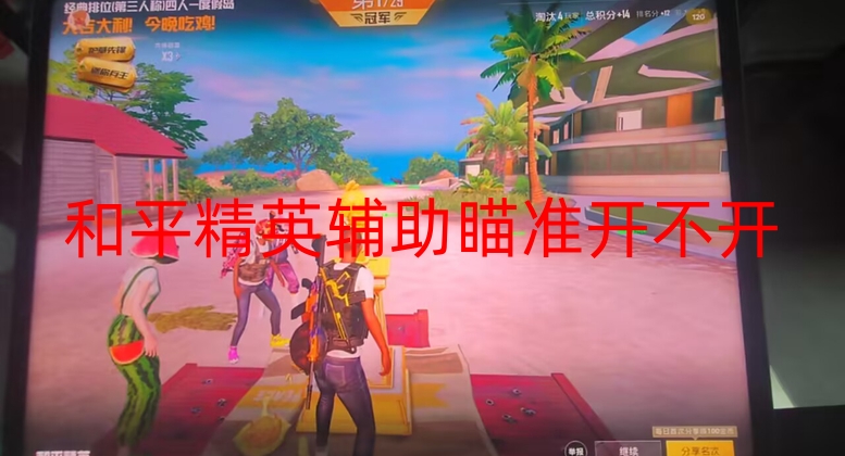 和平精英辅助瞄准开不开-和平直装【虚幻内