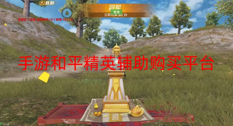 手游和平精英辅助购买平台-和平直装【幻神