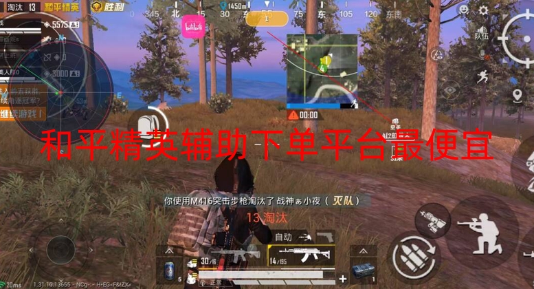 和平精英辅助下单平台最便宜-和平直装【绝