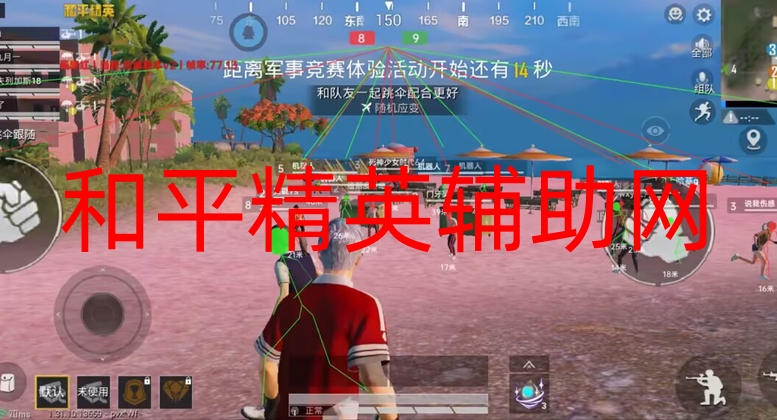 和平精英辅助网